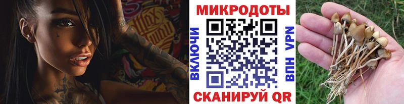 Псилоцибиновые грибы ЛСД  omg маркетплейс  Балей 