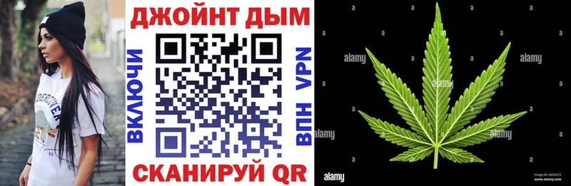 хочу наркоту  Балей  Бошки марихуана сатива 